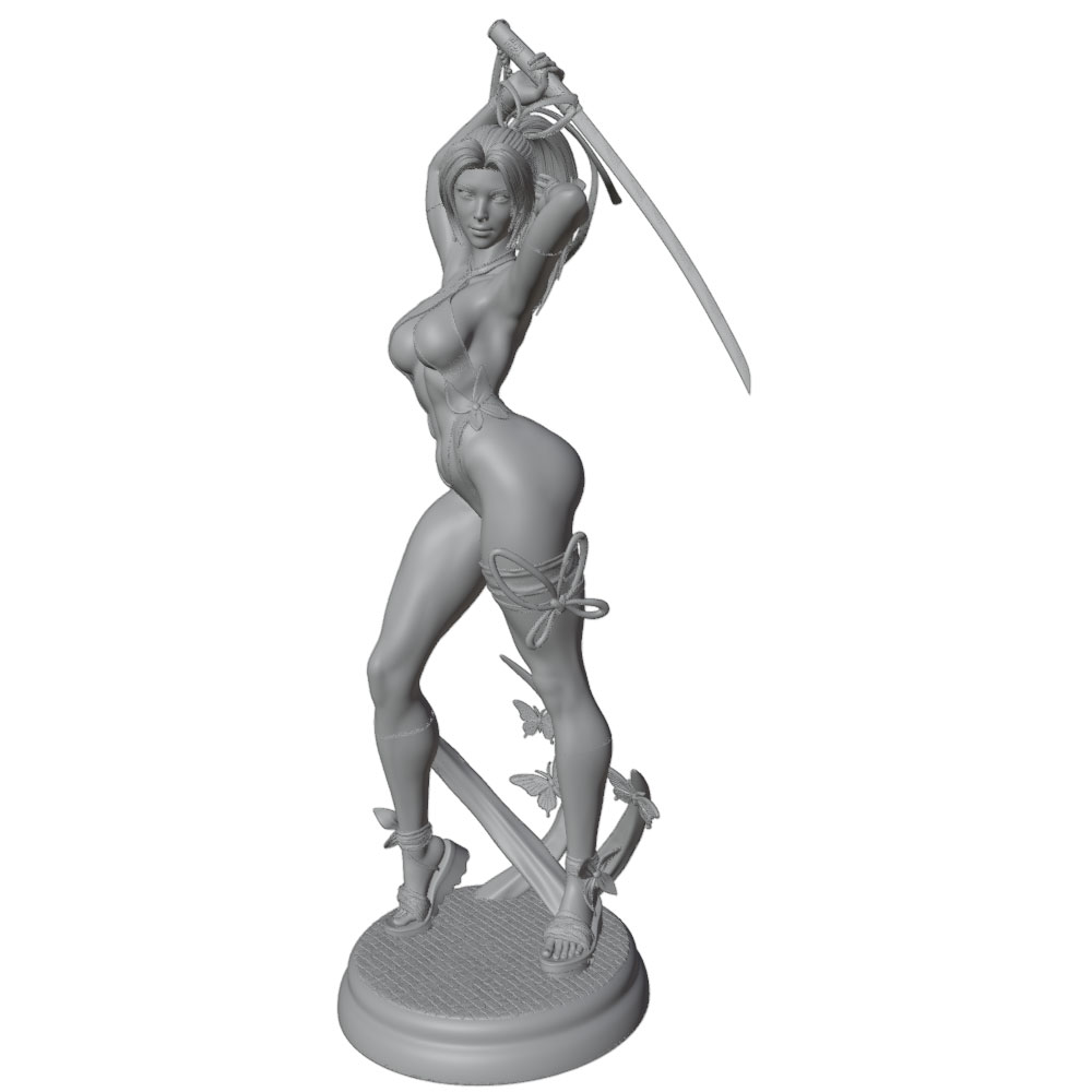 1/24 Mujer 	 Kits de modelos d - 3D Printing And Additive Manufacturing reseña y precio
